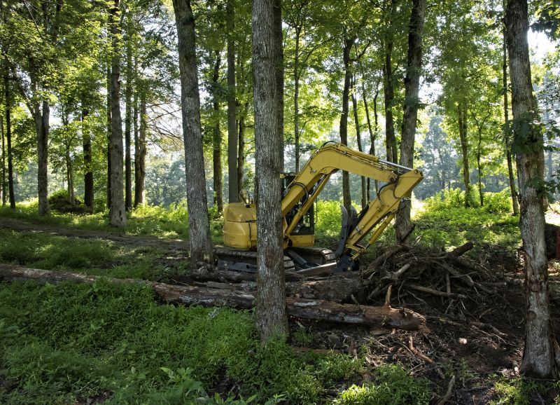Brush Clearing Service in Utah County, UT