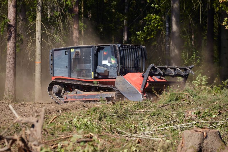 Clearing Vegetation