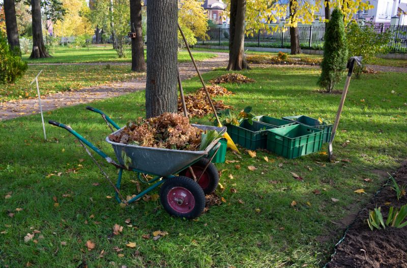 Site Clearing Service in Utah County, UT
