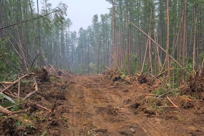Slope Clearing in Gwinnett County, GA