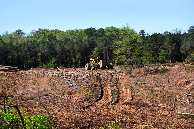 Land Clearing Process