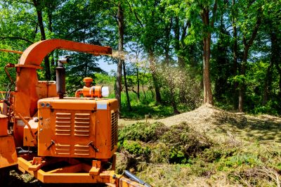 Create Mulch From Trees