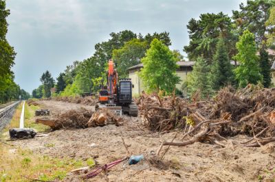 Remove Vegetation