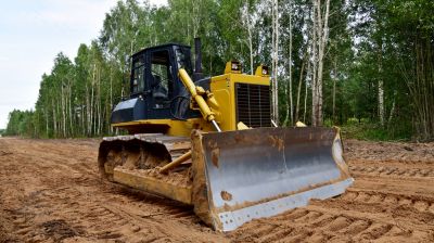 Enhance Safety with Tree Clearing!